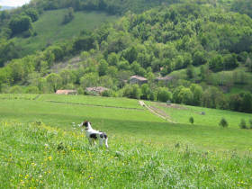 French Pyrenees accommodation in Ariege